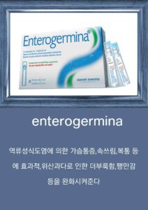 베트남 상비약 enterogermina